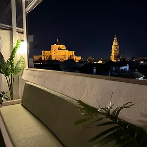 https://tico-de-la-sultana-centro-mezquita-catedral.es-andalucia.com
